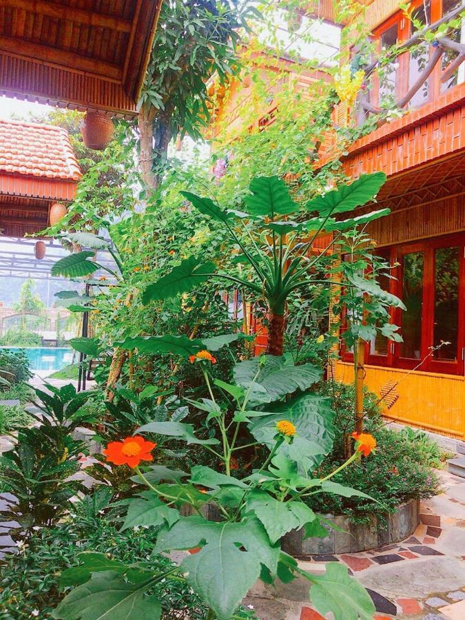 Tam Coc Amanda Villas 닌빈 외부 사진